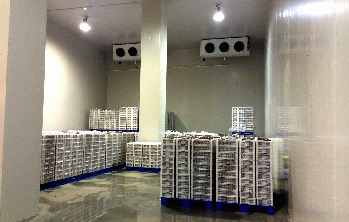 成都冷庫(kù)安裝建造